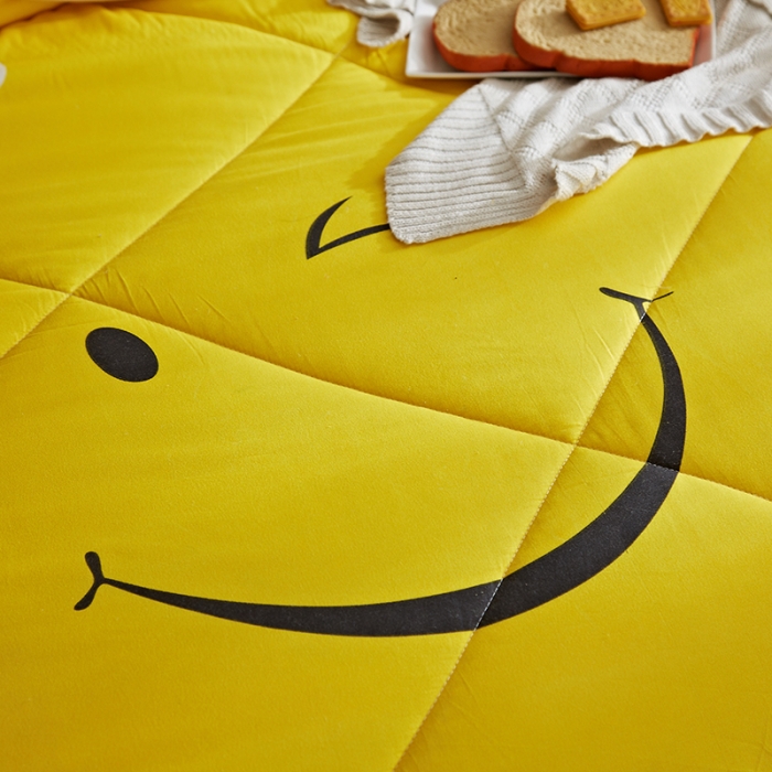 91家纺网 家纺一手货源 找家纺 （总）百花王 2022新款印花礼品冬被子被芯（花型随机）