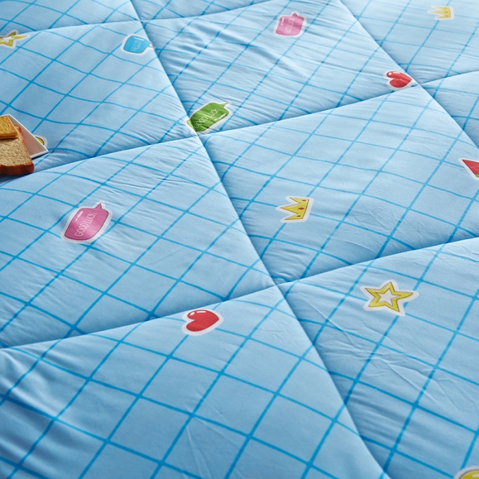 91家纺网 家纺一手货源 找家纺 百花王 2022新款印花礼品冬被子被芯（花型随机） 富贵格