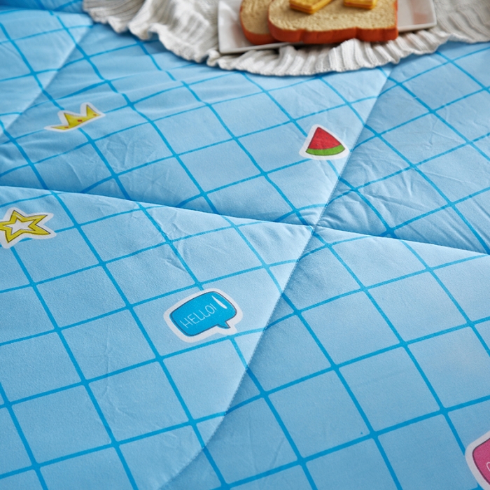 91家纺网 家纺一手货源 找家纺 百花王 2022新款印花礼品冬被子被芯（花型随机） 富贵格