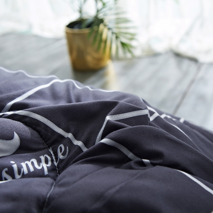 91家纺网 家纺一手货源 找家纺 百花王 2022新款印花礼品冬被子被芯（花型随机） 简单爱