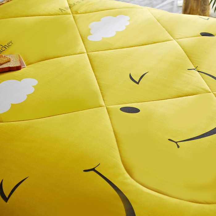 91家纺网 家纺一手货源 找家纺 百花王 2022新款印花礼品冬被子被芯（花型随机） 笑脸