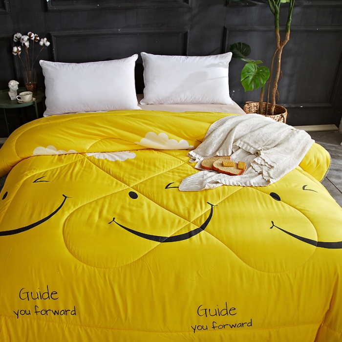 91家纺网 家纺一手货源 找家纺 百花王 2022新款印花礼品冬被子被芯（花型随机） 笑脸