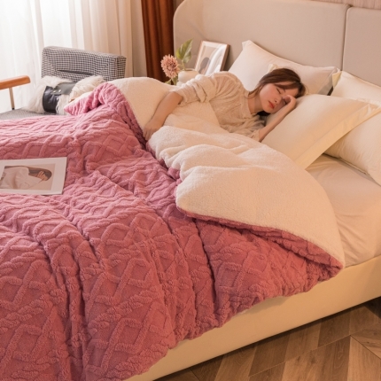 91家纺网 家纺一手货源 找家纺 总 简爱 2025塔芙绒纯色羊羔绒多功能毛毯被套休闲毯