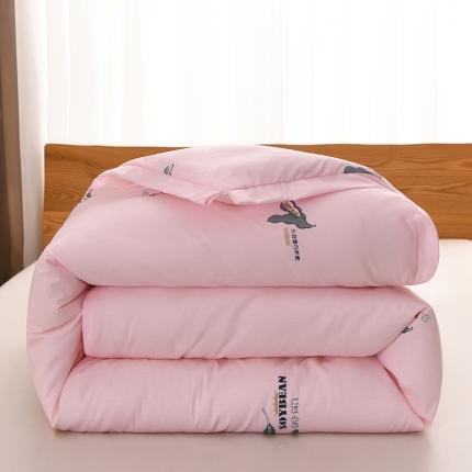 圣楚 2023秋冬暖眠大豆纤维冬被被子被芯直播爆款 相思玉