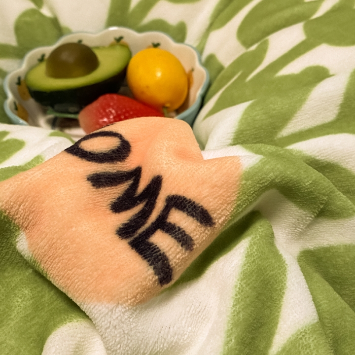 91家纺网 家纺一手货源 找家纺 大渔生活 2024新款牛奶绒印花系列四件套 小情调