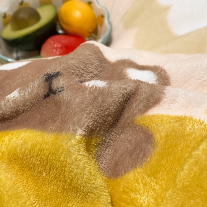 91家纺网 家纺一手货源 找家纺 大渔生活 2024新款牛奶绒印花系列四件套 熊朵朵