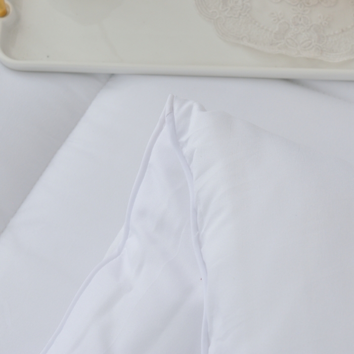 91家纺网 家纺一手货源 找家纺 德芙2023纯色简约酒店风被芯整张羽丝棉春秋被保暖冬被 白色