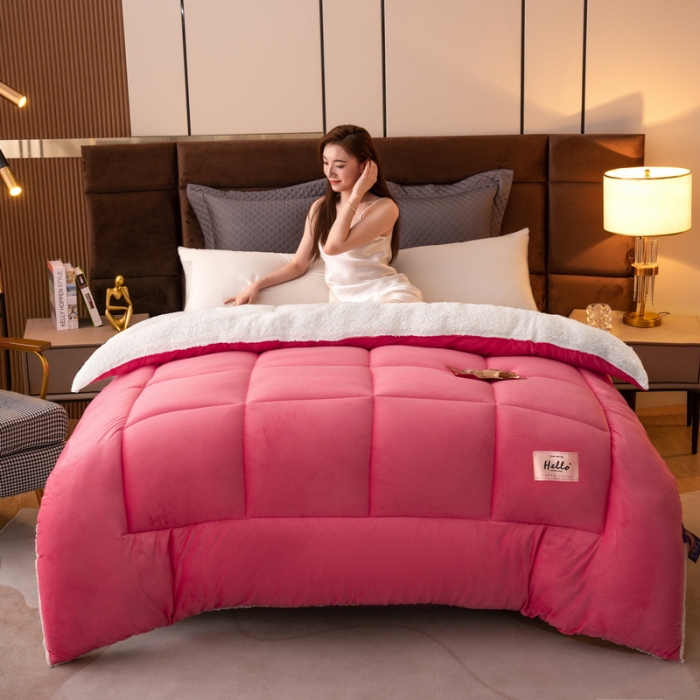 91家纺网 家纺一手货源 找家纺 （总）梦恬佳 2024新款牛奶绒羊羔绒冬被被子被芯