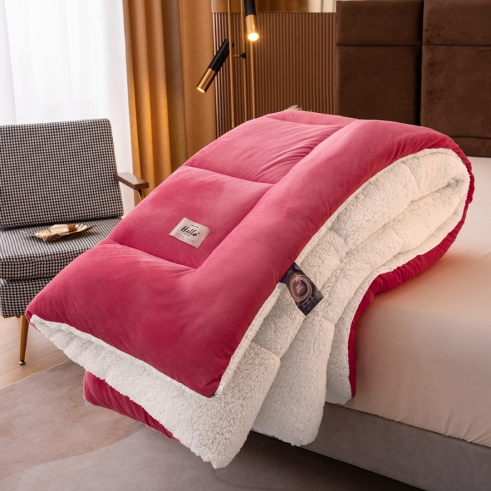 91家纺网 家纺一手货源 找家纺 （总）梦恬佳 2024新款牛奶绒羊羔绒冬被被子被芯