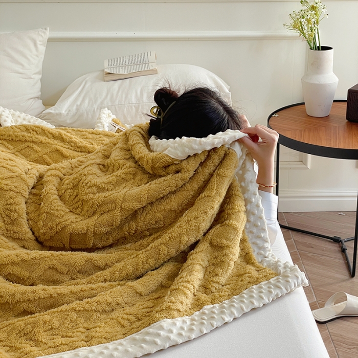 91家纺网 家纺一手货源 找家纺 （总）梦享生活 2022新款豆豆绒毛毯