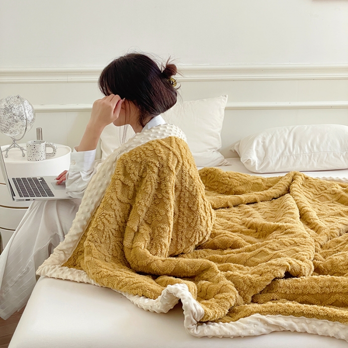 91家纺网 家纺一手货源 找家纺 （总）梦享生活 2022新款豆豆绒毛毯