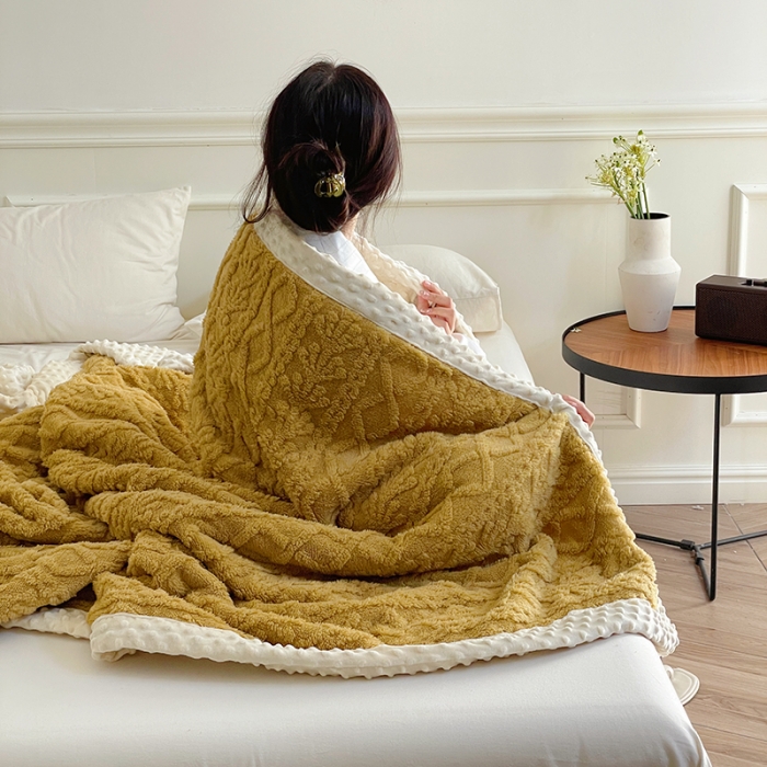 91家纺网 家纺一手货源 找家纺 （总）梦享生活 2022新款豆豆绒毛毯