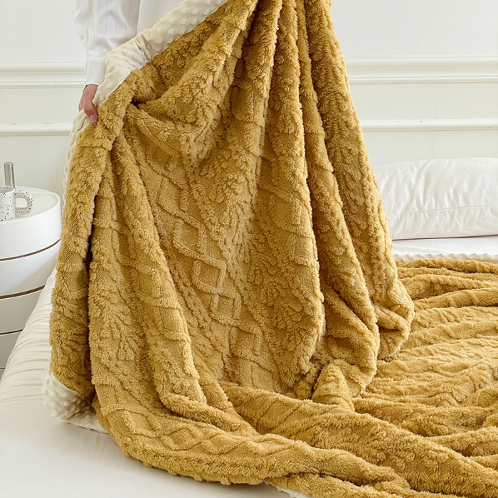 91家纺网 家纺一手货源 找家纺 （总）梦享生活 2022新款豆豆绒毛毯