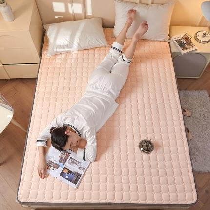 91家纺网 家纺一手货源 找家纺 （总）丽诺 2022新款宝宝绒防滑纯色床褥