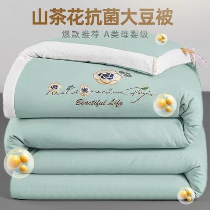 91家纺网 家纺一手货源 找家纺 （总）盈超2023新款山茶花抗菌立体大豆被冬被