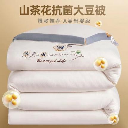 91家纺网 家纺一手货源 找家纺 盈超2023新款山茶花抗菌立体大豆被冬被 本白色