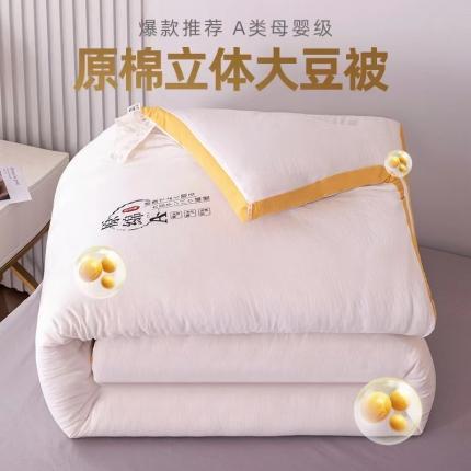 91家纺网 家纺一手货源 找家纺 盈超2023新款山茶花抗菌立体大豆被冬被 奶白色