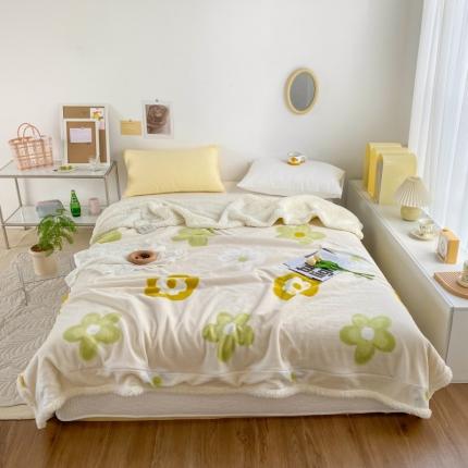 寐居 2022新款牛奶绒羊羔绒被套两用多功能盖毯 浪漫情调