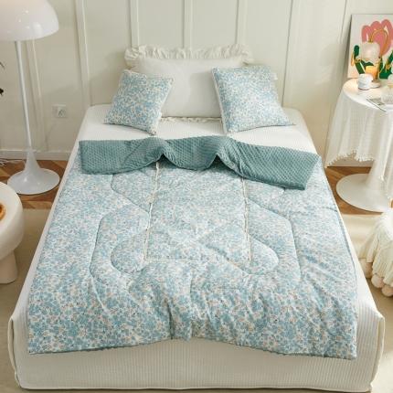 翰轩家居 2022新款全棉印花小清新豆豆绒抱枕被 春晓蓝