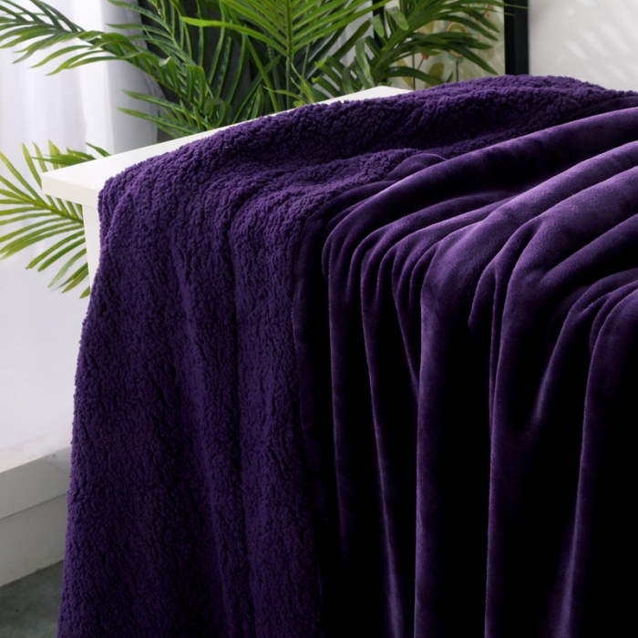 91家纺网 家纺一手货源 找家纺 卡琪曼 2022新双面法兰绒羊羔绒毛毯办公室午睡盖毯子 紫色