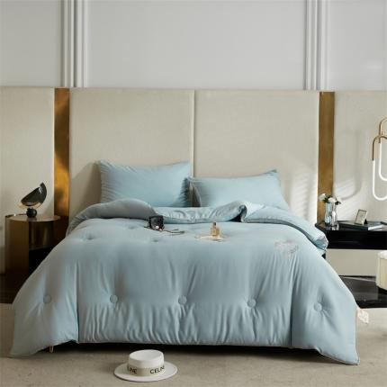 91家纺网 家纺一手货源 找家纺 （总）头等舱 新款麦哆哆氨基酸蛋白A类20%大豆抗菌秋冬被