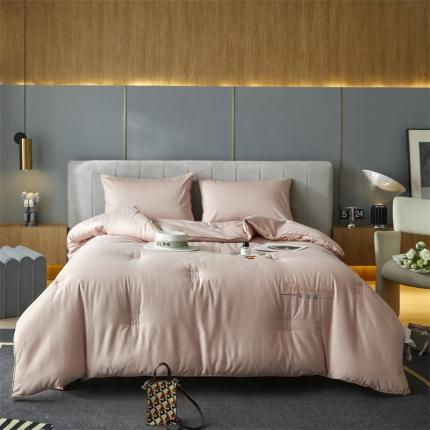 91家纺网 家纺一手货源 找家纺 （总）头等舱 2022新款全棉贡缎提花A类大豆抗菌秋冬被