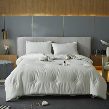 91家纺网 家纺一手货源 找家纺 （总）头等舱 2022新款全棉提花贡缎A类天然棉花秋冬被