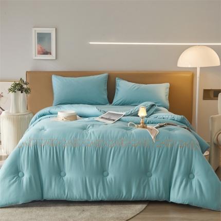 91家纺网 家纺一手货源 找家纺 （总）头等舱 新款舒雅棉A类60S贡缎35%大豆抗菌秋冬被