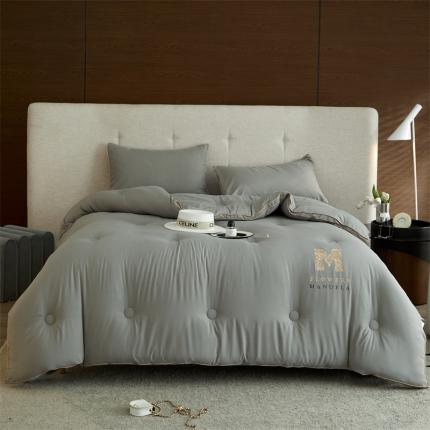 91家纺网 家纺一手货源 找家纺 头等舱 2022新款四季棉A类35%大豆抗菌秋冬被 拍摄风格1（伯爵-简约灰）