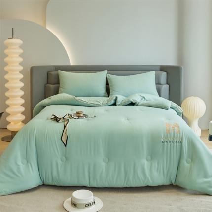 91家纺网 家纺一手货源 找家纺 头等舱 2022新款四季棉A类35%大豆抗菌秋冬被2 浅绿