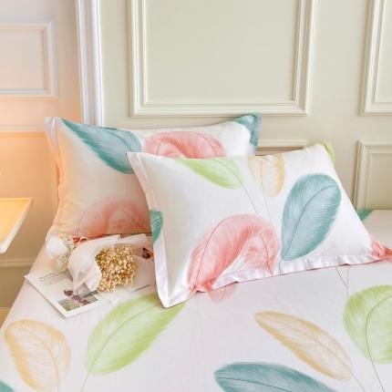 91家纺网 家纺一手货源 找家纺 （总）绵庭 2022年秋冬全棉12868单品枕套