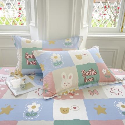 91家纺网 家纺一手货源 找家纺 （总）绵庭 2022年秋冬全棉12868单品枕套