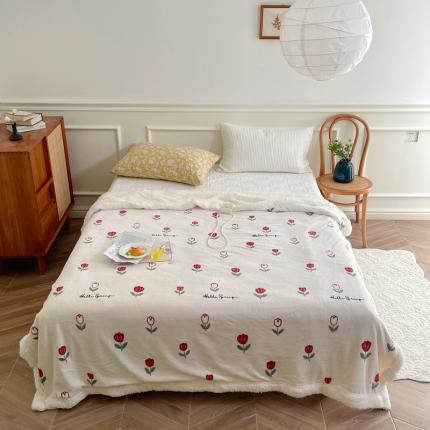 时年 2022新款牛奶绒拼羊羔绒毯 露露