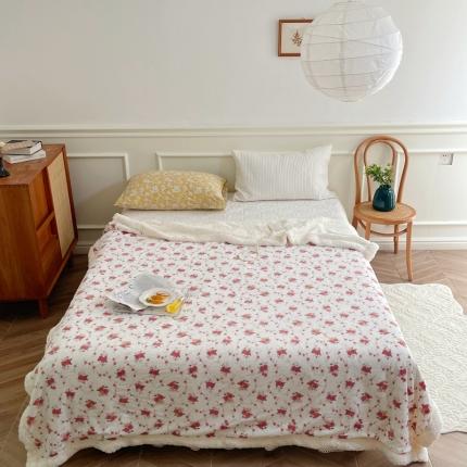 时年 2022新款牛奶绒拼羊羔绒毯 漫漫花园