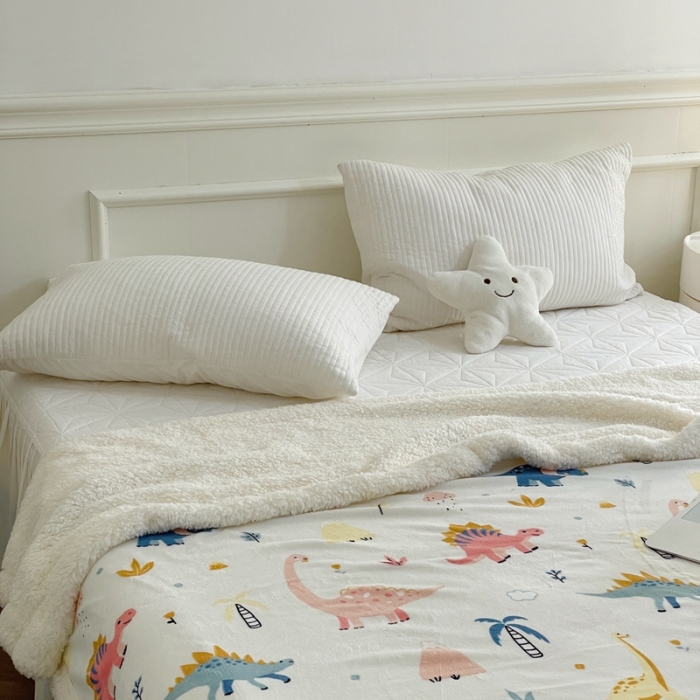 91家纺网 家纺一手货源 找家纺 时年 2022新款牛奶绒拼羊羔绒毯 侏罗纪