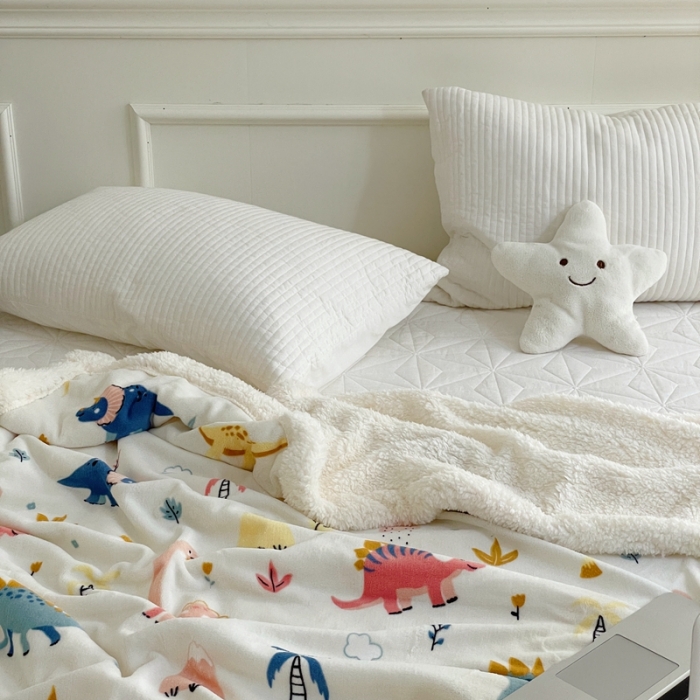 91家纺网 家纺一手货源 找家纺 时年 2022新款牛奶绒拼羊羔绒毯 侏罗纪