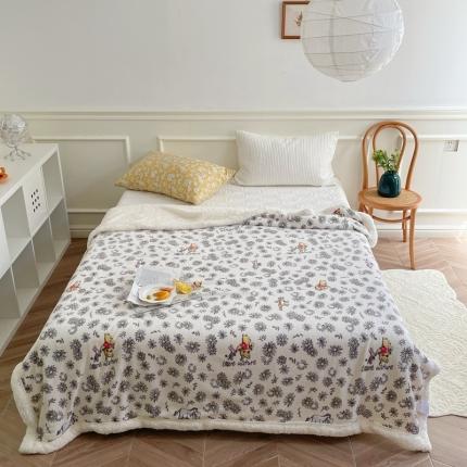 91家纺网 家纺一手货源 找家纺 （总）时年 2022新款牛奶绒拼羊羔绒毯