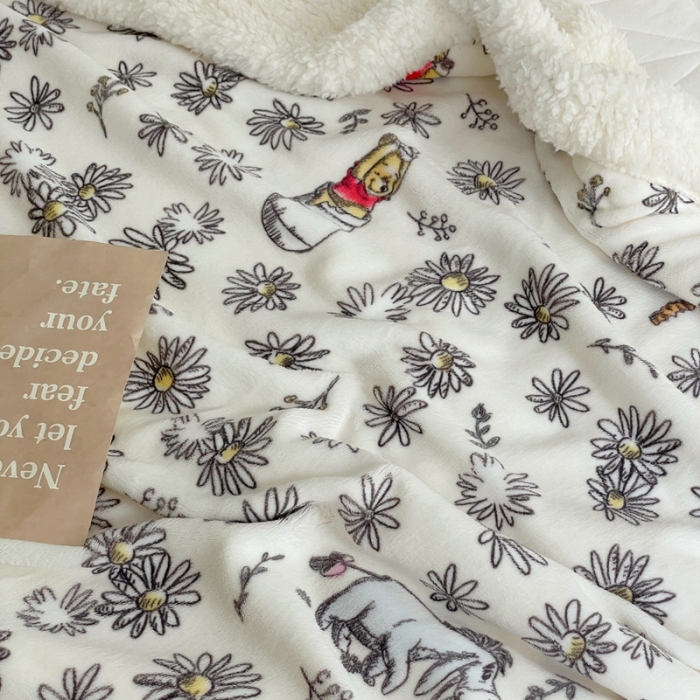 91家纺网 家纺一手货源 找家纺 时年 2022新款牛奶绒拼羊羔绒毯 郊游维尼