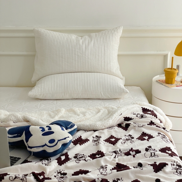 91家纺网 家纺一手货源 找家纺 时年 2022新款牛奶绒拼羊羔绒毯 经典米奇