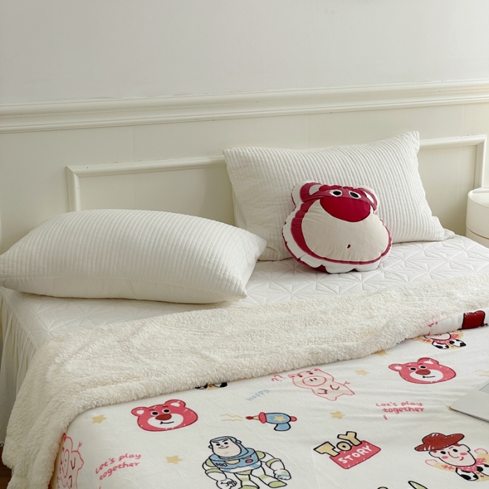 91家纺网 家纺一手货源 找家纺 时年 2022新款牛奶绒拼羊羔绒毯 玩具总动员