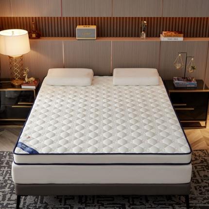 （总）99床垫  2023新款针织棉记忆床垫-大床款