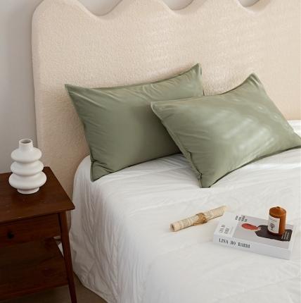 91家纺网 家纺一手货源 找家纺 新款100磨毛单品系列-枕套 薄青色48*74cm一只