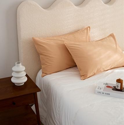 新款100磨毛单品系列-枕套 菲玉48*74cm一只