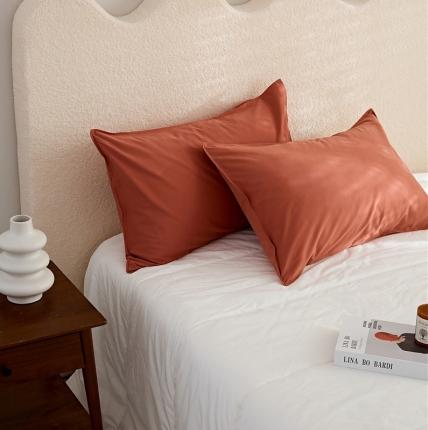 新款100磨毛单品系列-枕套 栗梅色48*74cm一只