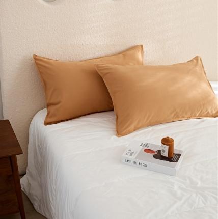 新款100磨毛单品系列-枕套 奶咖48*74cm一只