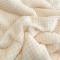 91家纺网 家纺一手货源 找家纺 （总）慕尚 2022爆款牛奶绒贝贝绒夹棉3层加厚毛毯