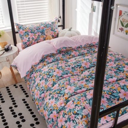 乐居坊 2022新款芦荟棉上下铺学生床三件套四件套 清新少女