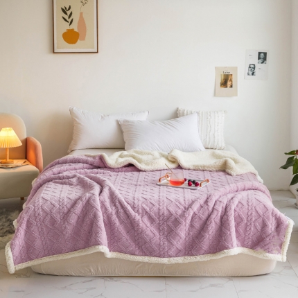 91家纺网 家纺一手货源 找家纺 启优—2022新款AB版双层加厚提花塔芙绒羊羔绒毛毯