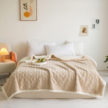 91家纺网 家纺一手货源 找家纺 启优—2022新款AB版双层加厚提花塔芙绒羊羔绒毛毯