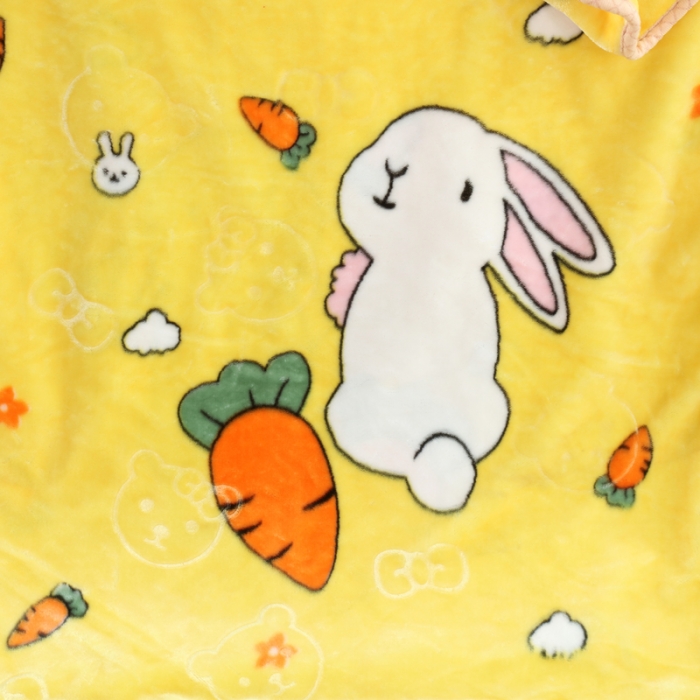 91家纺网 家纺一手货源 找家纺 升级云毯儿童毯婴儿宝宝毯空调毯午睡毯幼儿园双层毛毯 大白-黄